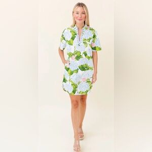 Sheridan French hydrangea Rhodes dress, medium. Beautiful dress, NWT